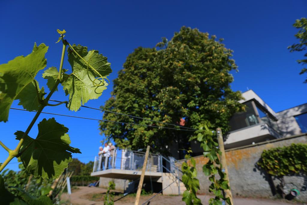 Vogelsburg Hotel Escherndorf Bagian luar foto