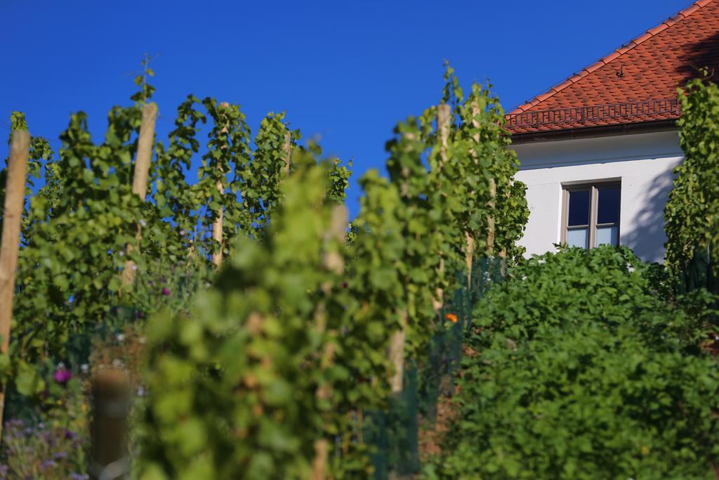 Vogelsburg Hotel Escherndorf Bagian luar foto
